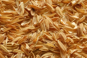 Goodyear наградили за использование золы рисовой шелухи